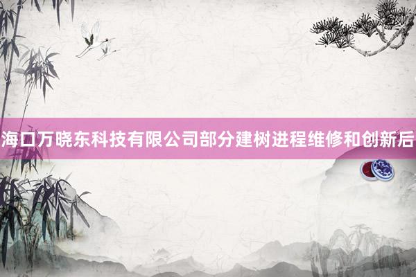 海口万晓东科技有限公司部分建树进程维修和创新后