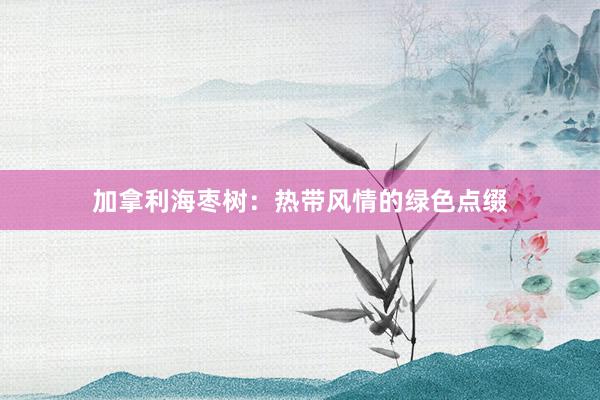 加拿利海枣树：热带风情的绿色点缀