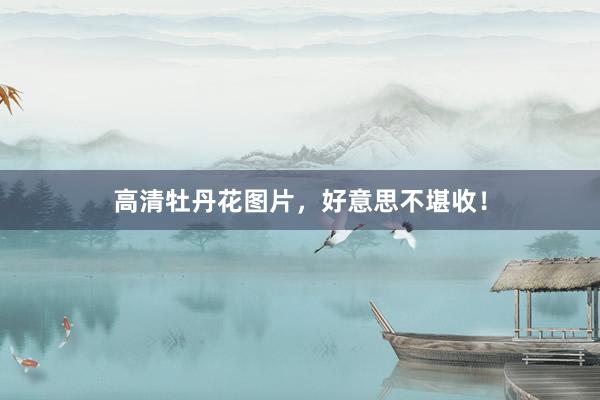 高清牡丹花图片,好意思不堪收!