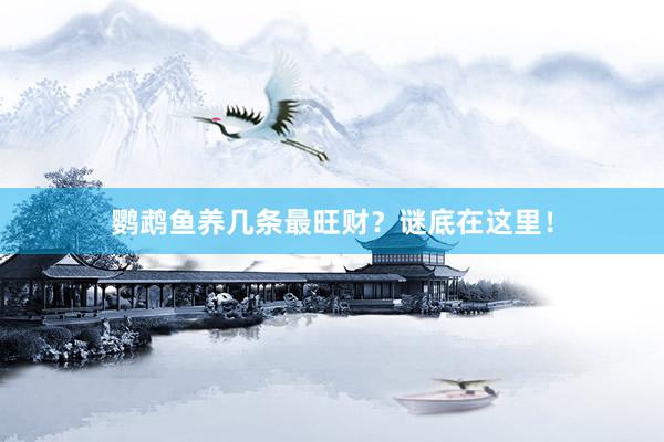 鹦鹉鱼养几条最旺财?谜底在这里!