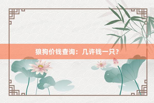 狼狗价钱查询：几许钱一只？